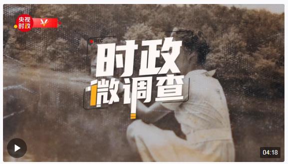 時政微調查丨在水一方