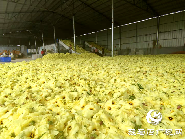 平輿縣玉皇廟鄉(xiāng)：搶抓新機遇 全力建&ldquo;三園&rdquo;