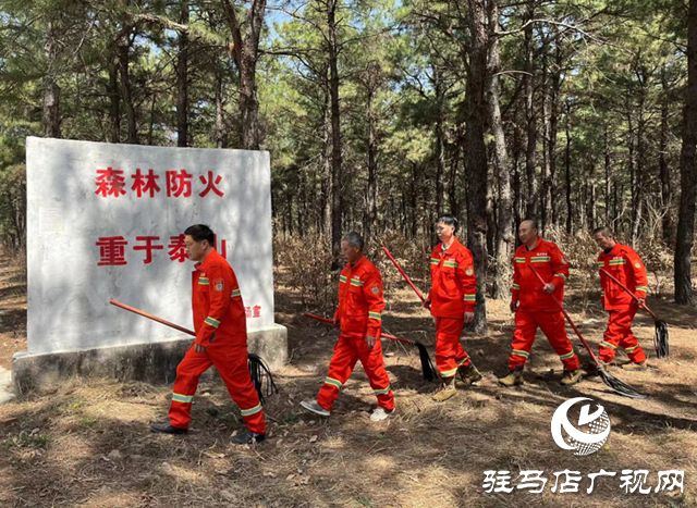 國有泌陽縣板橋林場：落實(shí)上級安排部署 全力構(gòu)建森防安全屏障
