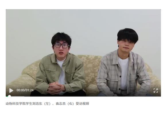 老師突發(fā)心梗！河南2名大學生挺身而出→