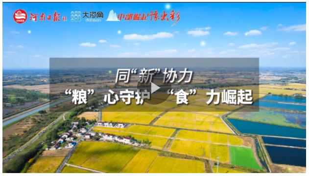 同&ldquo;新&rdquo;協(xié)力丨&ldquo;糧&rdquo;心守護(hù)，&ldquo;食&rdquo;力崛起