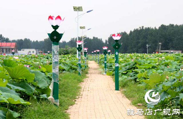 2024年全國夏季&ldquo;村晚&rdquo;示范展示點(diǎn)公布，平輿縣西洋店鎮(zhèn)西洋潭村榜上有名