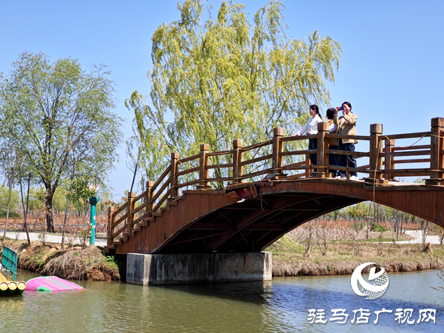 2024年全國夏季&ldquo;村晚&rdquo;示范展示點(diǎn)公布，平輿縣西洋店鎮(zhèn)西洋潭村榜上有名