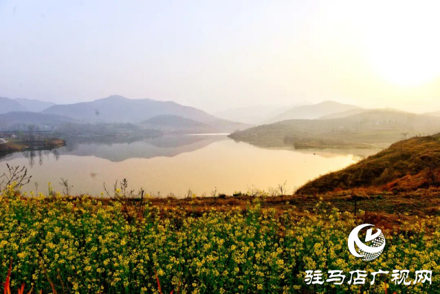 泌陽(yáng)縣馬谷田鎮(zhèn)郭莊水庫(kù)：千樹(shù)萬(wàn)樹(shù)桃花梨花開(kāi)