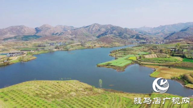 泌陽(yáng)縣馬谷田鎮(zhèn)郭莊水庫(kù)：千樹(shù)萬(wàn)樹(shù)桃花梨花開(kāi)