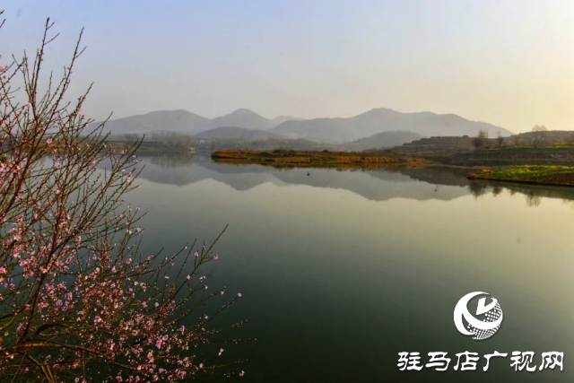 泌陽(yáng)縣馬谷田鎮(zhèn)郭莊水庫(kù)：千樹(shù)萬(wàn)樹(shù)桃花梨花開(kāi)