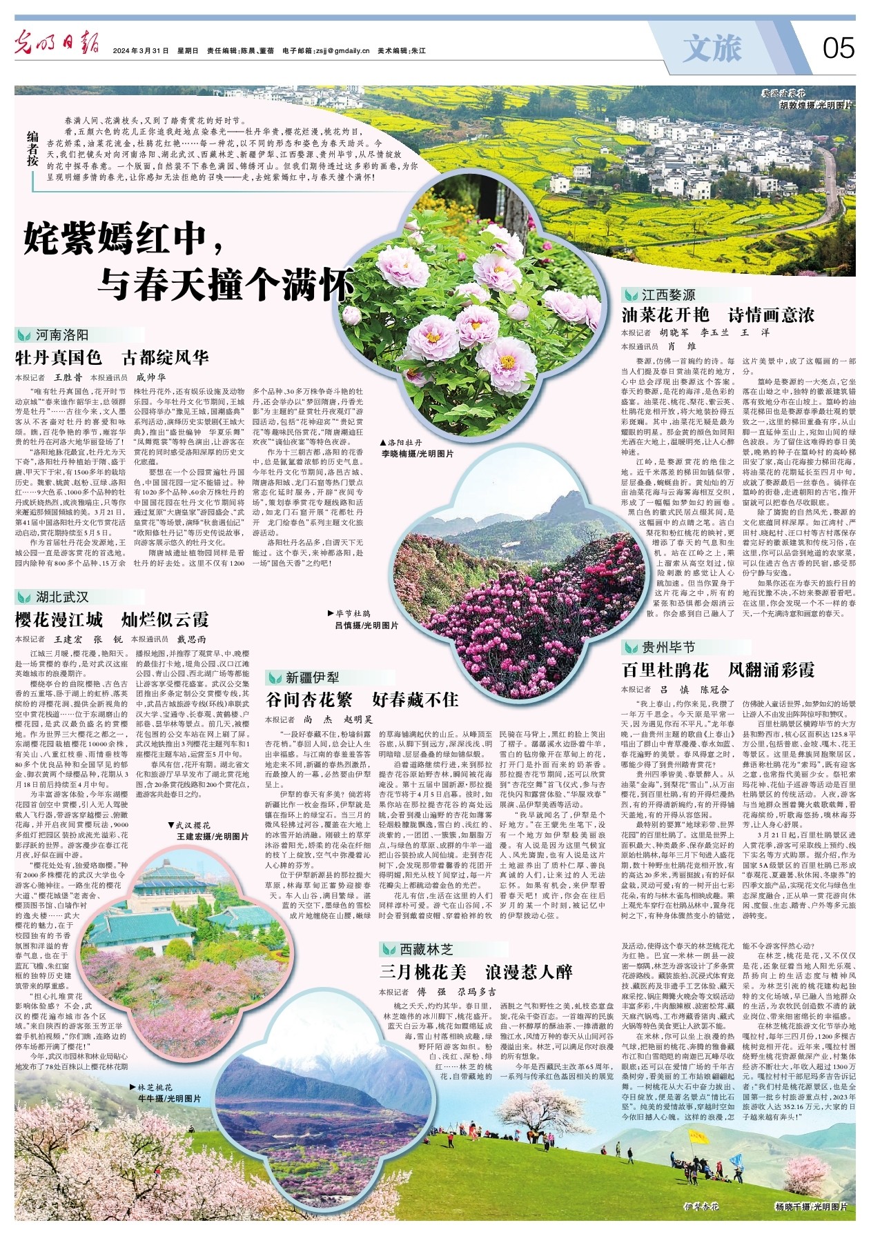 河南洛陽(yáng)：牡丹真國(guó)色 古都綻風(fēng)華