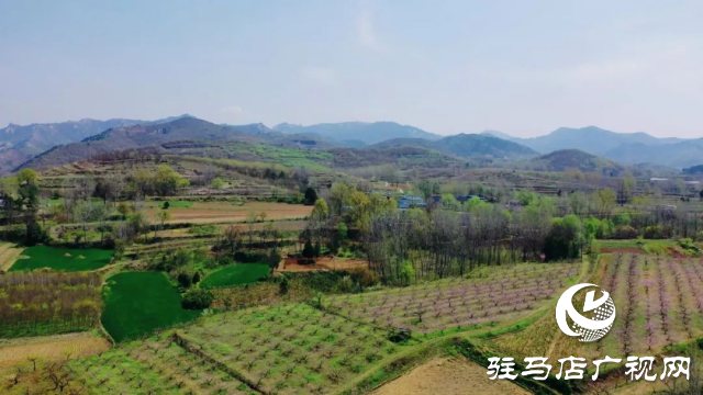 泌陽(yáng)縣馬谷田鎮(zhèn)郭莊水庫(kù)：千樹(shù)萬(wàn)樹(shù)桃花梨花開(kāi)