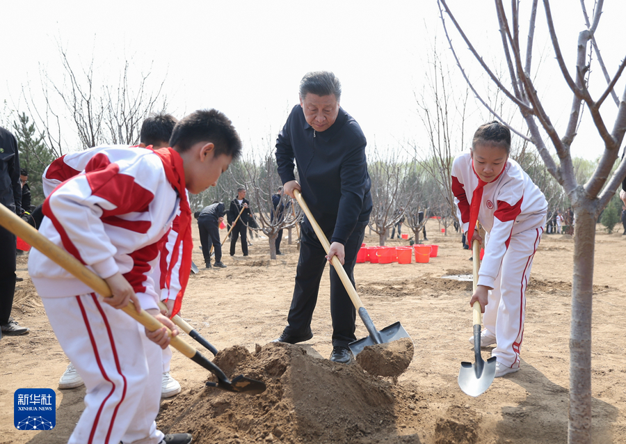 習(xí)近平在參加首都義務(wù)植樹(shù)活動(dòng)時(shí)強(qiáng)調(diào) 全民植樹(shù)增綠 共建美麗中國(guó)