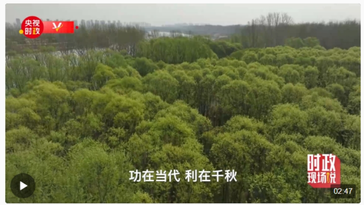 時政現(xiàn)場說丨植樹添新綠 不負好時節(jié)