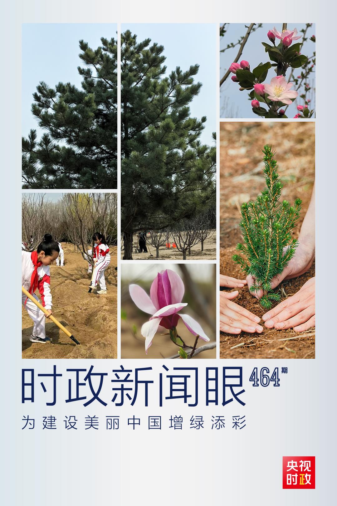 時(shí)政新聞眼丨再次參加首都義務(wù)植樹活動(dòng)，習(xí)近平強(qiáng)調(diào)綠化祖國要三者并舉