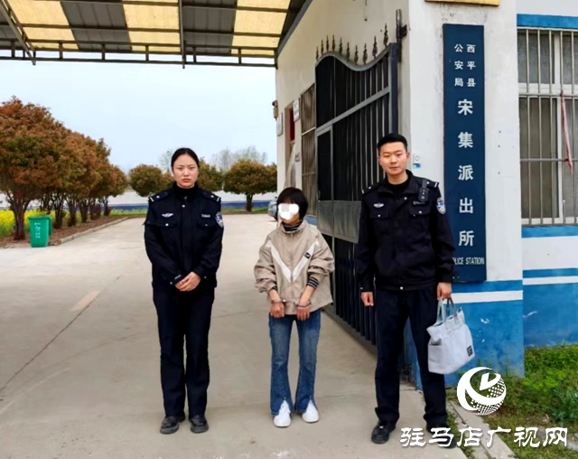 西平縣：女子謊報案情被拘留