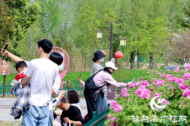清明假期，汝南縣文旅市場“多點(diǎn)開花”