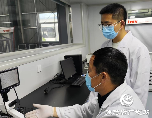 全國兩會精神進基層||泌陽縣夏南?？萍奸_發(fā)有限公司：加快發(fā)展新質(zhì)生產(chǎn)力 推動肉牛產(chǎn)業(yè)發(fā)展壯大