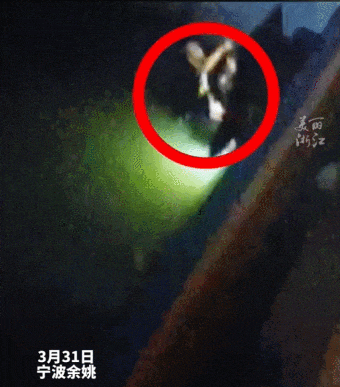 摔斷四根肋骨！那一刻，他得多疼啊&hellip;&hellip;