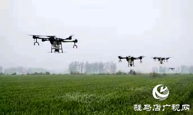 汝南縣板店鄉(xiāng)：無(wú)人機(jī)飛防 為小麥披上&ldquo;防護(hù)衣&rdquo;