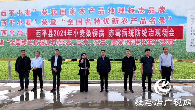 西平縣召開小麥條銹病、赤霉病統(tǒng)防統(tǒng)治現(xiàn)場會