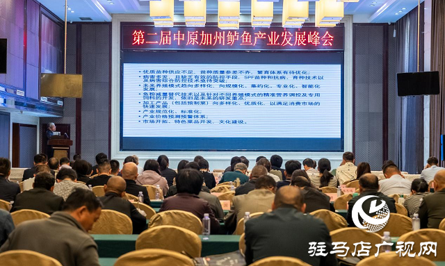 西平:“一條鱸魚”游出一條致富路