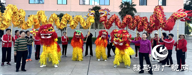 駐馬店鞭陀龍協(xié)會慶五一展演活動排練火熱進行中，傳統(tǒng)文化綻放異彩