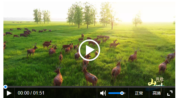 和諧共生｜萬物生長(zhǎng) 共赴山川