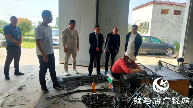 平輿縣十字路鄉(xiāng)：聚力企業(yè)解難題，助力“三園建設(shè)”