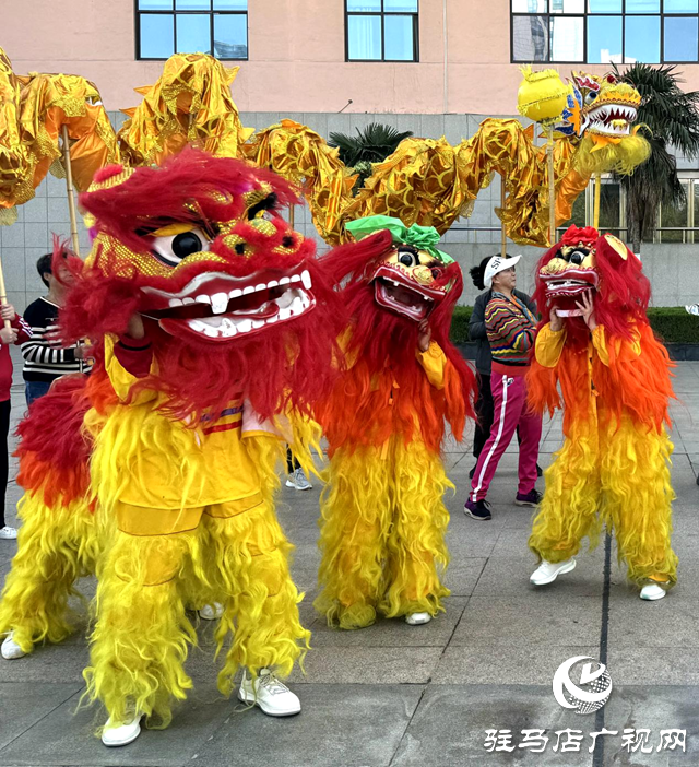 駐馬店鞭陀龍協(xié)會慶五一展演活動排練火熱進行中，傳統(tǒng)文化綻放異彩