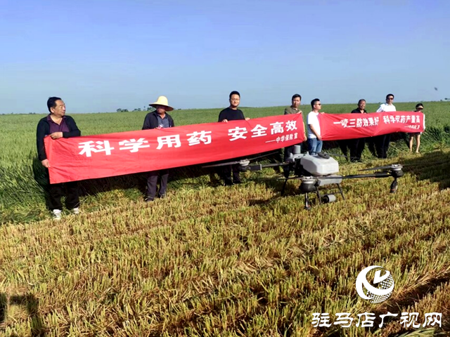 確保小麥增產(chǎn)豐收  駐馬店保險行業(yè)來助力