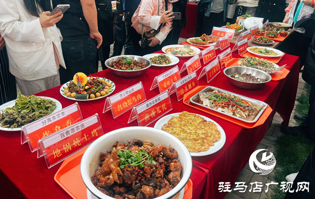驛城區(qū)蟻蜂鎮(zhèn)：農家廚藝顯身手 地方美食大比拼