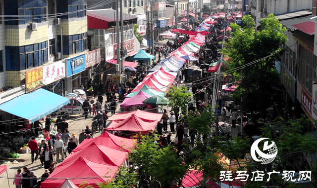 西平縣蘆廟鄉(xiāng)：舉辦物資交流大會 激發(fā)經(jīng)濟新活力