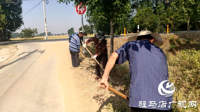 平輿縣十字路鄉(xiāng)：持續(xù)推進(jìn)人居環(huán)境整治，繪就和美宜居新鄉(xiāng)村