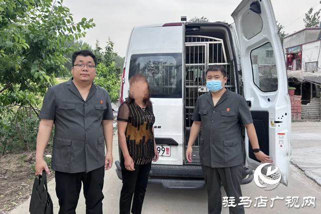 依法強制拘留4人！平輿縣人民法院夏日執(zhí)行“風暴”來襲
