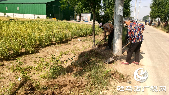 平輿縣十字路鄉(xiāng)：持續(xù)推進(jìn)人居環(huán)境整治，繪就和美宜居新鄉(xiāng)村