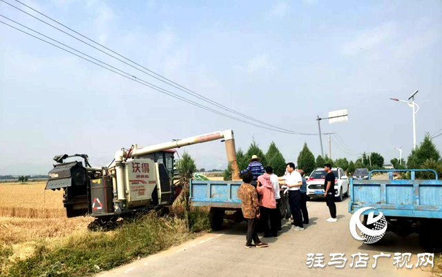 泌陽縣象河鄉(xiāng)：小麥大豐收 &ldquo;麥&rdquo;向好收成