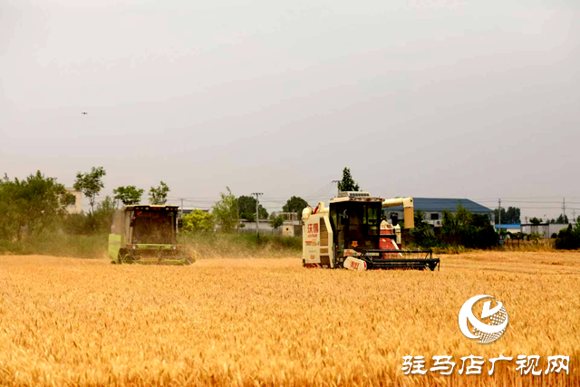 泌陽縣長朱東升深入部分鄉(xiāng)鎮(zhèn)調(diào)研指導“三夏”生產(chǎn)工作