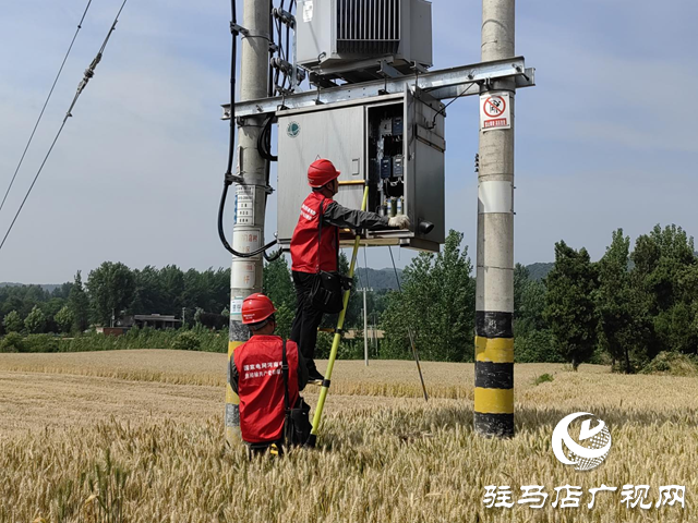 確山縣供電公司：情系麥收 供電護航