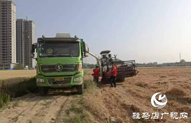 駐馬店經濟開發(fā)區(qū)界牌社區(qū)：黨員志愿服務隊助力“三夏”生產