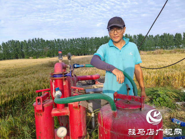 平輿縣射橋鎮(zhèn)西關(guān)居委會(huì)：&ldquo;甜紅玉&rdquo;甜瓜大豐收 結(jié)出增收致富&ldquo;甜蜜果&rdquo;