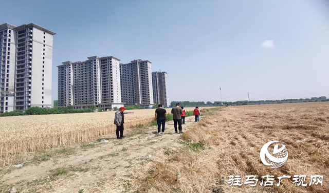 駐馬店經濟開發(fā)區(qū)界牌社區(qū)：黨員志愿服務隊助力“三夏”生產