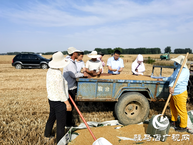 平輿縣陽城鎮(zhèn)：助力農(nóng)機(jī)辦實(shí)事 添足馬力助夏收