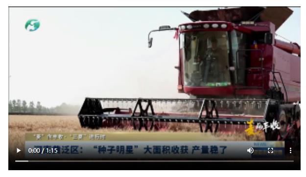 獲 產(chǎn)量穩(wěn)了丨“麥”向豐收·“三夏”進(jìn)行時(shí)