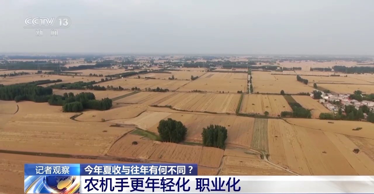 秸稈經(jīng)紀人、智能化新農(nóng)機……今年夏收有何不同？