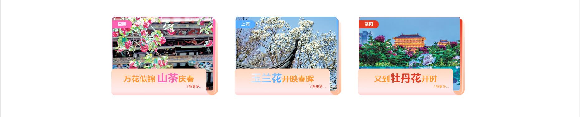 一朵花讀懂一座城