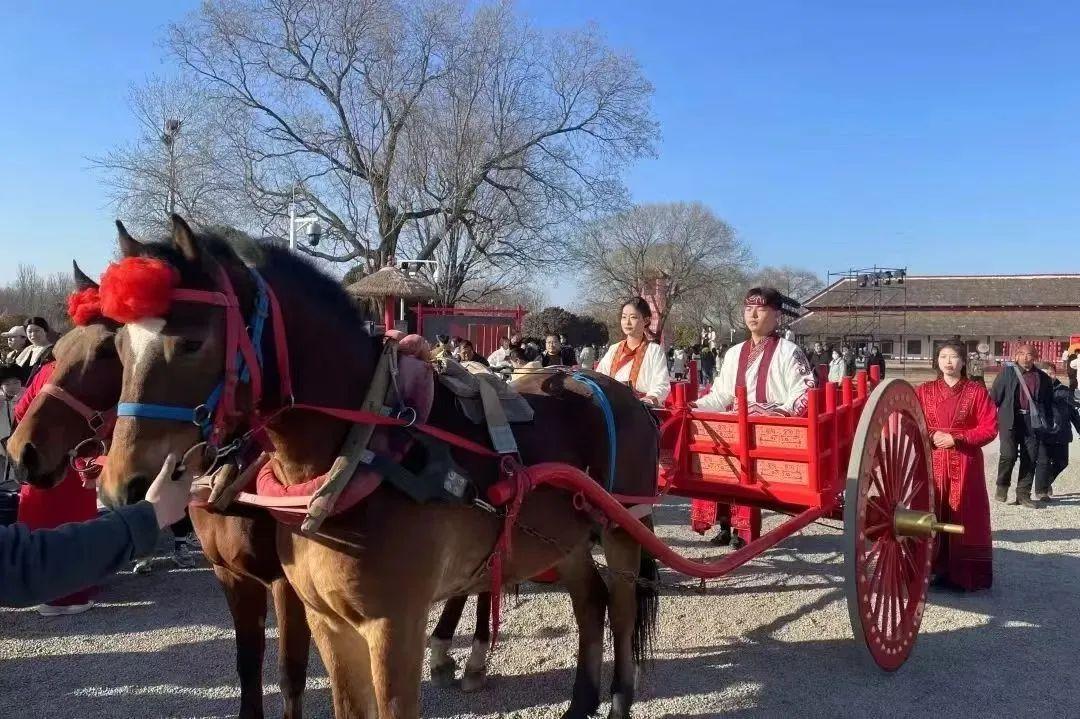 安陽如何將殷墟甲骨文打造成文旅新名片？