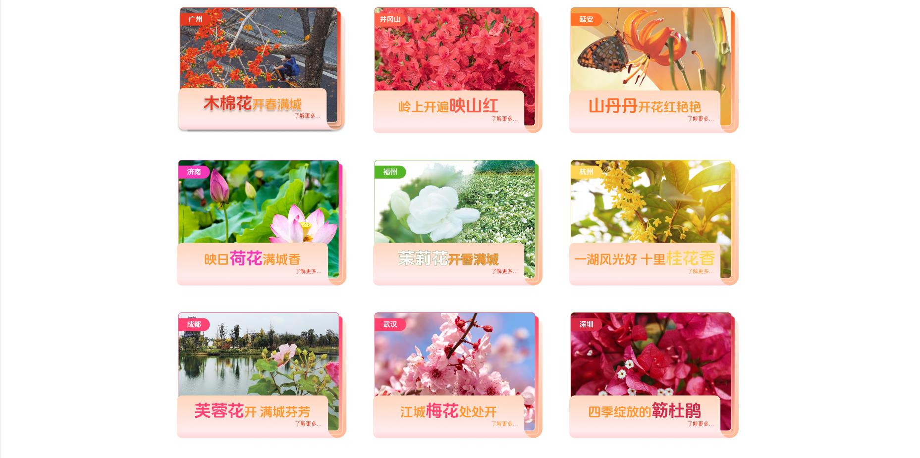 一朵花讀懂一座城