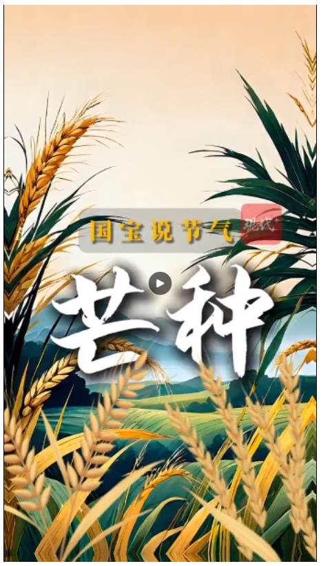 文脈華章｜國寶里的“芒種”，生生不息的華夏密碼