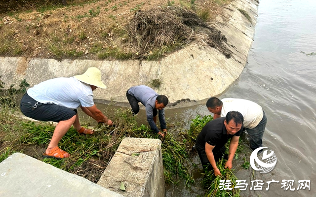 泌陽縣郭集鎮(zhèn)：全力打好抗旱保苗“主動(dòng)仗”