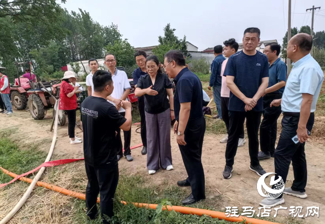 駐馬店市城鄉(xiāng)一體化示范區(qū)管委會主任馬桂榮調(diào)研抗旱保夏種工作