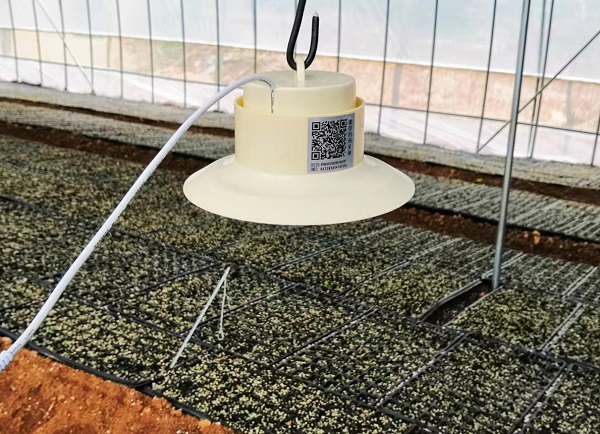 數(shù)字化河南“養(yǎng)”成記③｜融入現(xiàn)代社會(huì) 數(shù)字“智治力”顯神通