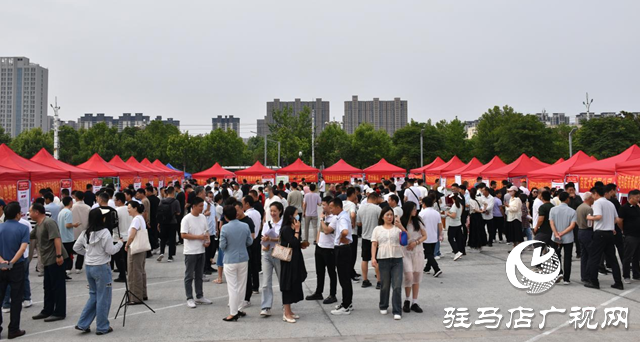 3000個(gè)崗位！駐馬店專場招聘會(huì)助力退役軍人就業(yè)
