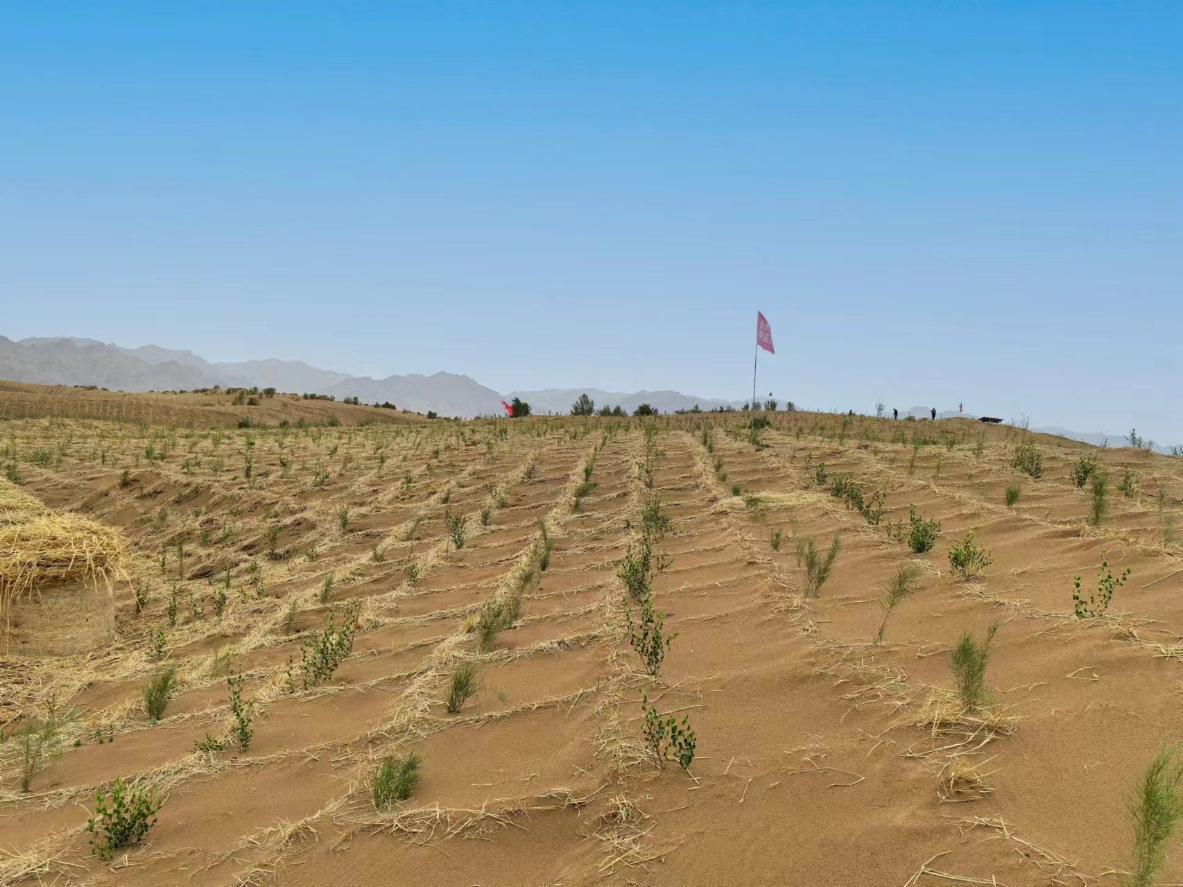 習(xí)近平總書記關(guān)切事 | 為了綠色長城萬里長——“三北”工程攻堅(jiān)戰(zhàn)一線見聞